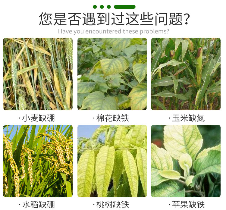 土壤多参数养分检测仪