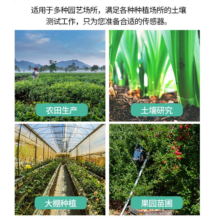 土壤养分速测仪
